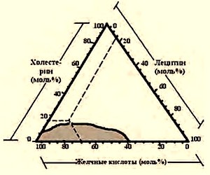 Треугольные координаты Адмиранда–Смолла